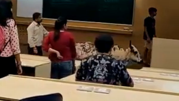 「この牛も勉強したいんだ」　メス牛が大学の授業に出席 - Sputnik 日本