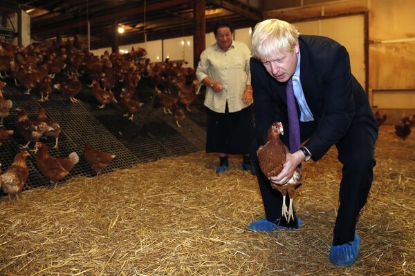 農園訪問時に鶏を手にする英国のボリス・ジョンソン首相 - Sputnik 日本