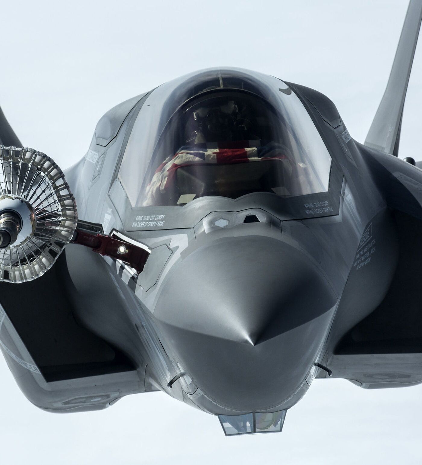 F35 戦闘機　発泡機　50mm EDF QTModel F35 517mm Wingspan EPO 50mm EDF Jet Fighter RC