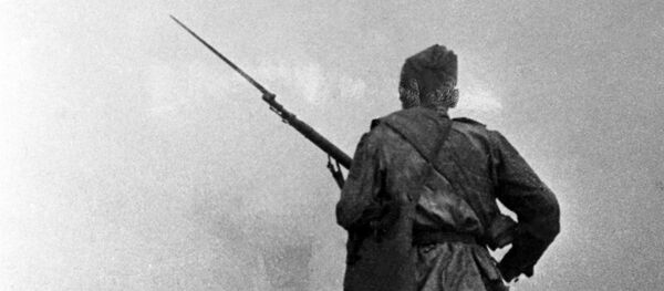 モシン・ナガン モシン・ナガン - Sputnik 日本