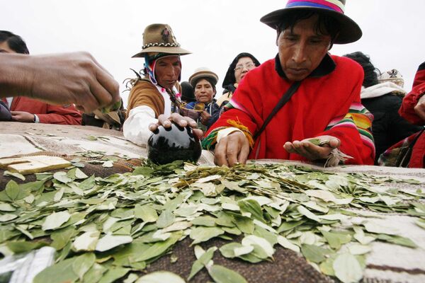 自分の内なる世界を感じ、疲労を取り除き、「山の病気」を予防するためにコカの葉を噛むボリビア先住民族の儀式　 - Sputnik 日本