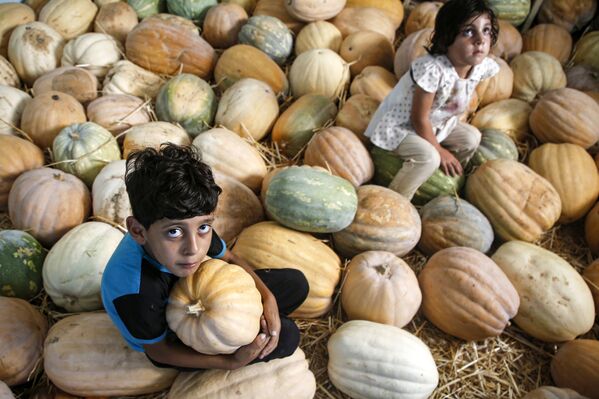 収穫されたかぼちゃとパレスチナの子どもたち　ガザ地区 - Sputnik 日本
