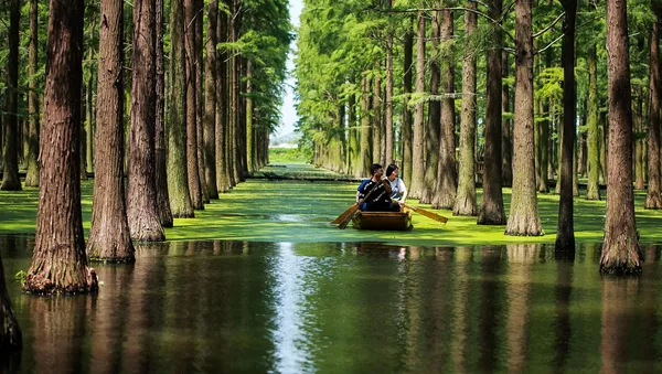 痩西湖の公園を訪れる人々　揚州市　中国 - Sputnik 日本