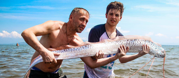 リュウグウノツカイ リュウグウノツカイ - Sputnik 日本