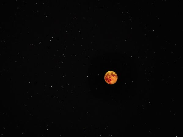 作品「スーパームーンSuper Moon Lunar Eclipse」」撮影：マリー・アン・チルトン、2019年1月21日、月が地球に最も近付いた瞬間を捉えた - Sputnik 日本