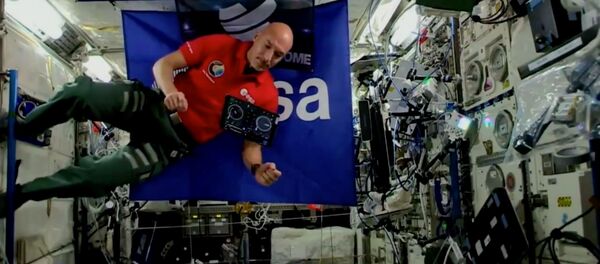 ルカ・パルミターノさん ルカ・パルミターノさん - Sputnik 日本