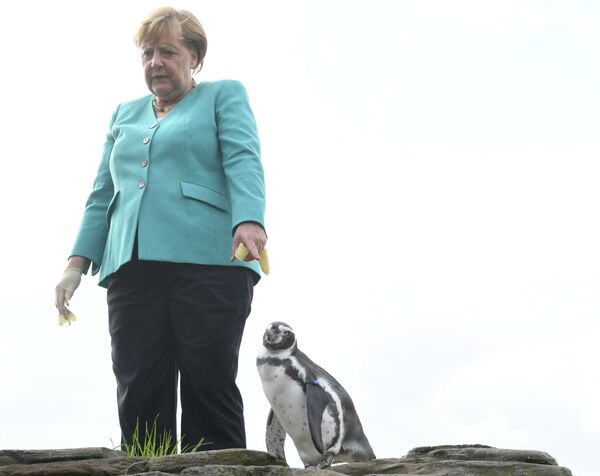 アンゲラ・メルケル首相　ペンギンに餌付け　ドイツ - Sputnik 日本