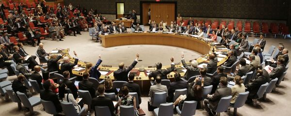 ロシア、ボーイング機墜落に関する国際法廷開廷をめぐる決議に拒否権発動 ロシア、ボーイング機墜落に関する国際法廷開廷をめぐる決議に拒否権発動 - Sputnik 日本