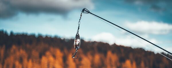 お釣り お釣り - Sputnik 日本