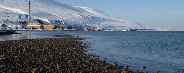 小石との見分けがつかない！新しい形のプラスチック汚染が発見 - Sputnik 日本