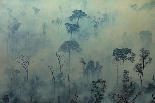 自然発火したアマゾン森林火災の様子 - Sputnik 日本
