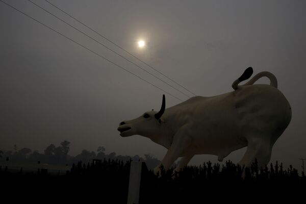 雄牛の彫刻　バックには燃えさかる森林 - Sputnik 日本