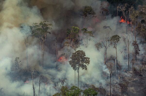 自然発火したアマゾン森林火災の様子　ブラジル - Sputnik 日本
