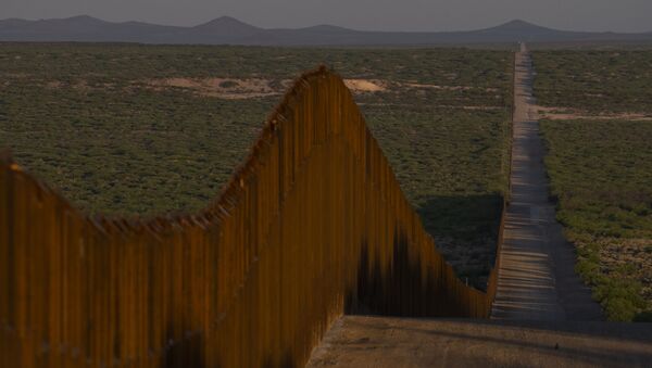 米国政府　メキシコ国境の壁が暴風雨で倒壊という情報を調査 - Sputnik 日本