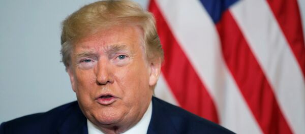 トランプ大統領（アーカイブ写真） - Sputnik 日本