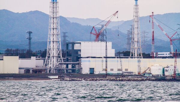 日本原子力学会　福島第一原発の廃炉方法について報告書作成 - Sputnik 日本