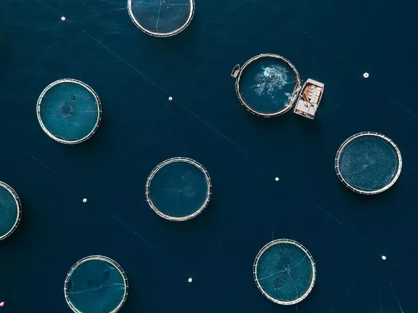 養魚場 - Sputnik 日本