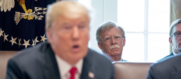 トランプ氏とボルトン氏 - Sputnik 日本
