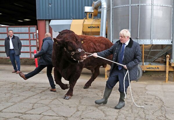スコットランドの国営農場を訪問した英国のボリス・ジョンソン首相 - Sputnik 日本