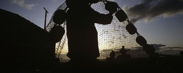 お釣り お釣り - Sputnik 日本