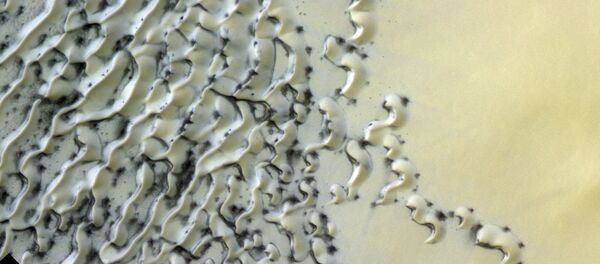 砂丘の写真 砂丘の写真 - Sputnik 日本