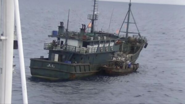ロシア沖で拘束された北朝鮮密漁者の1人が死亡 - Sputnik 日本