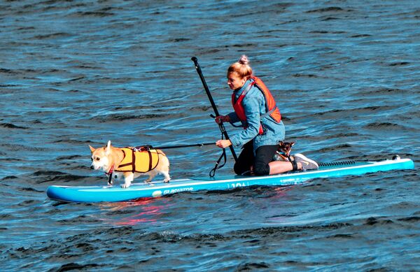 スタンドアップサーフィンのレース「Petshop Sup」の女性参加者と愛犬　ロシア　サンクト・ペテルブルグ - Sputnik 日本