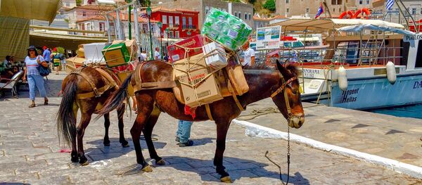 ギリシャのイドラ島、海岸通りのロバ ギリシャのイドラ島、海岸通りのロバ - Sputnik 日本
