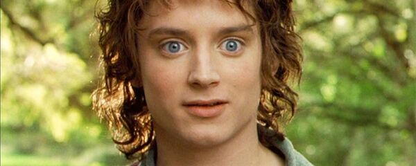 フロド・バギンズ フロド・バギンズ - Sputnik 日本