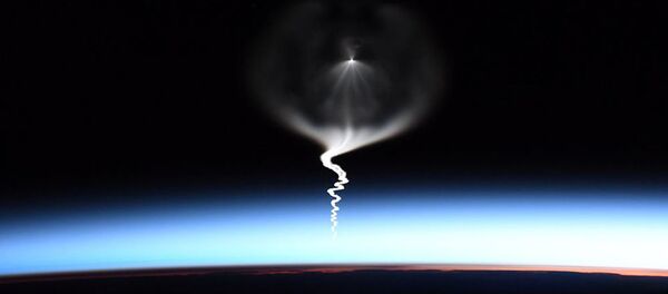 宇宙遊泳 宇宙遊泳 - Sputnik 日本