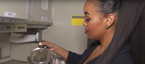 キャビンアテンダントのジャミラ・ハードウィックさん - Sputnik 日本