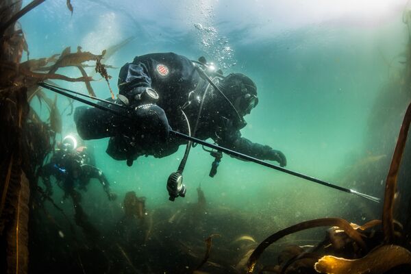 ウループ島近くのオホーツク海の海底を調べる調査隊の潜水士 - Sputnik 日本