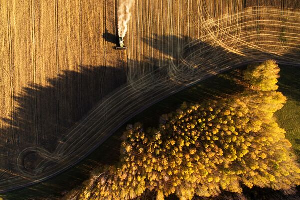 収穫、ロシアのノヴォシビルスク州 - Sputnik 日本
