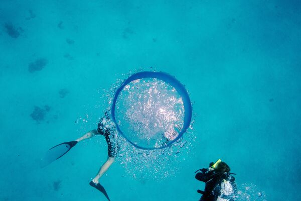 米領セント・トーマス島の感染したサンゴを診察するために潜水する米バージン諸島大学の科学者とボランティアのダイバーたち - Sputnik 日本