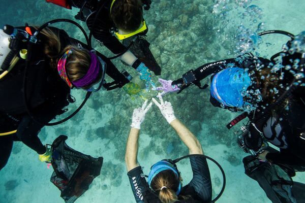 米領セント・トーマス島の感染したサンゴを診察するために潜水する科学者 - Sputnik 日本