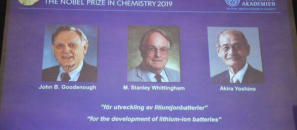 2019年ノーベル化学賞の受賞者が発表 2019年ノーベル化学賞の受賞者が発表 - Sputnik 日本