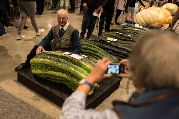 65.3㎏のウリとピーター・グレイズブルックさん。2019年ハロゲイト秋の花き展、野菜部門で1位 65.3㎏のウリとピーター・グレイズブルックさん。2019年ハロゲイト秋の花き展、野菜部門で1位 - Sputnik 日本