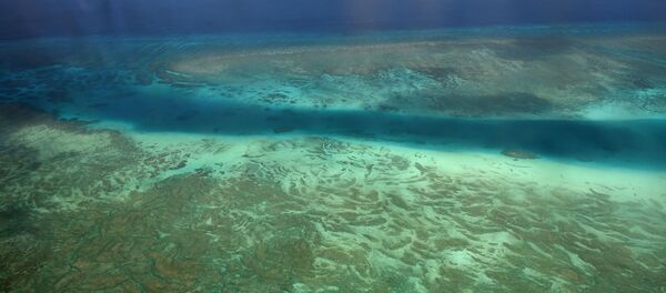 アメリカが南沙諸島をかけた「戦闘」に備えている? アメリカが南沙諸島をかけた「戦闘」に備えている? - Sputnik 日本