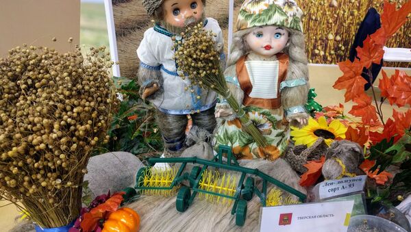 農業展示会「黄金の秋」 - Sputnik 日本
