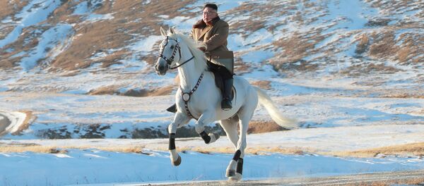 金正恩委員長、白馬で聖地を登り、米国の制裁を批判【写真】 金正恩委員長、白馬で聖地を登り、米国の制裁を批判【写真】 - Sputnik 日本