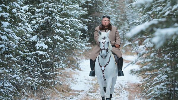 白頭山で降雪時に乗馬する北朝鮮の金正恩委員長 - Sputnik 日本