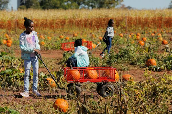 かぼちゃ畑の子どもたち、米ニュージャージー - Sputnik 日本