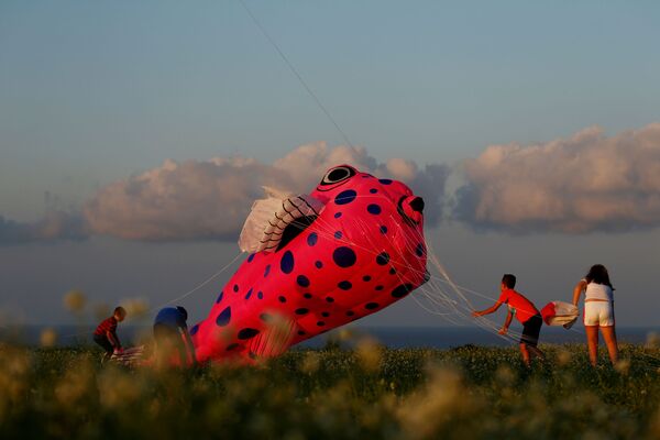 マルタで開催された国際凧揚げフェスティバルで凧揚げをする子どもたち - Sputnik 日本