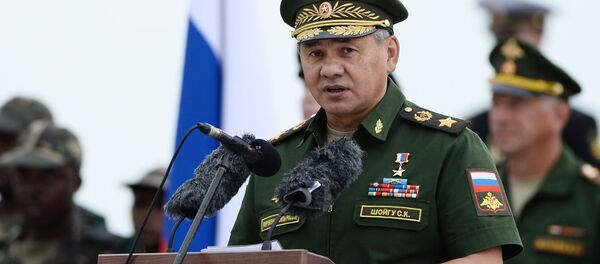 セルゲイ・ショイグ国防大臣 - Sputnik 日本