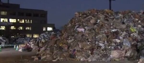 台風19号災害ごみ処理　支援する地方自治体も　 - Sputnik 日本