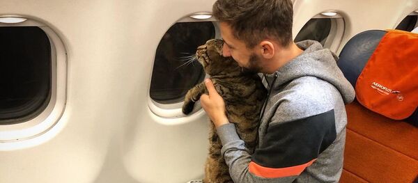 Михаил Галин и его кот Виктор в самолете - Sputnik 日本