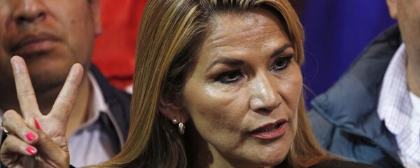 ヘアニネ・アニェス ヘアニネ・アニェス - Sputnik 日本