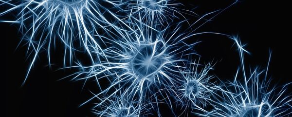 ニューロン ニューロン - Sputnik 日本