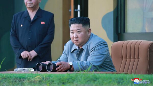 北朝鮮、脅威が生じた場合は即時的かつ強力な打撃で対応すると警告 - Sputnik 日本