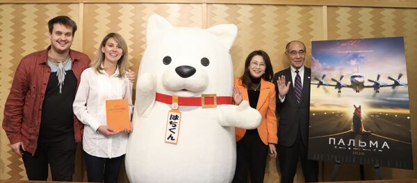 ハチとパルマの物語 - Sputnik 日本